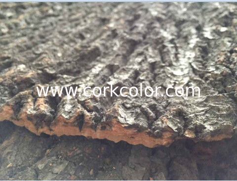 Randomly Size,Frist-Layer Nature Cork Bark tiles,for animals enclosures,wall decoration