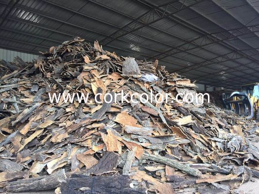 Randomly Size,Frist-Layer Nature Cork Bark tiles,for natural displays for air plants