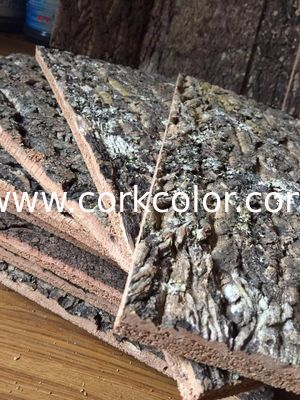300*600mm Standard Size Frist-Layer Nature Cork Bark tiles,for Wall Decoration